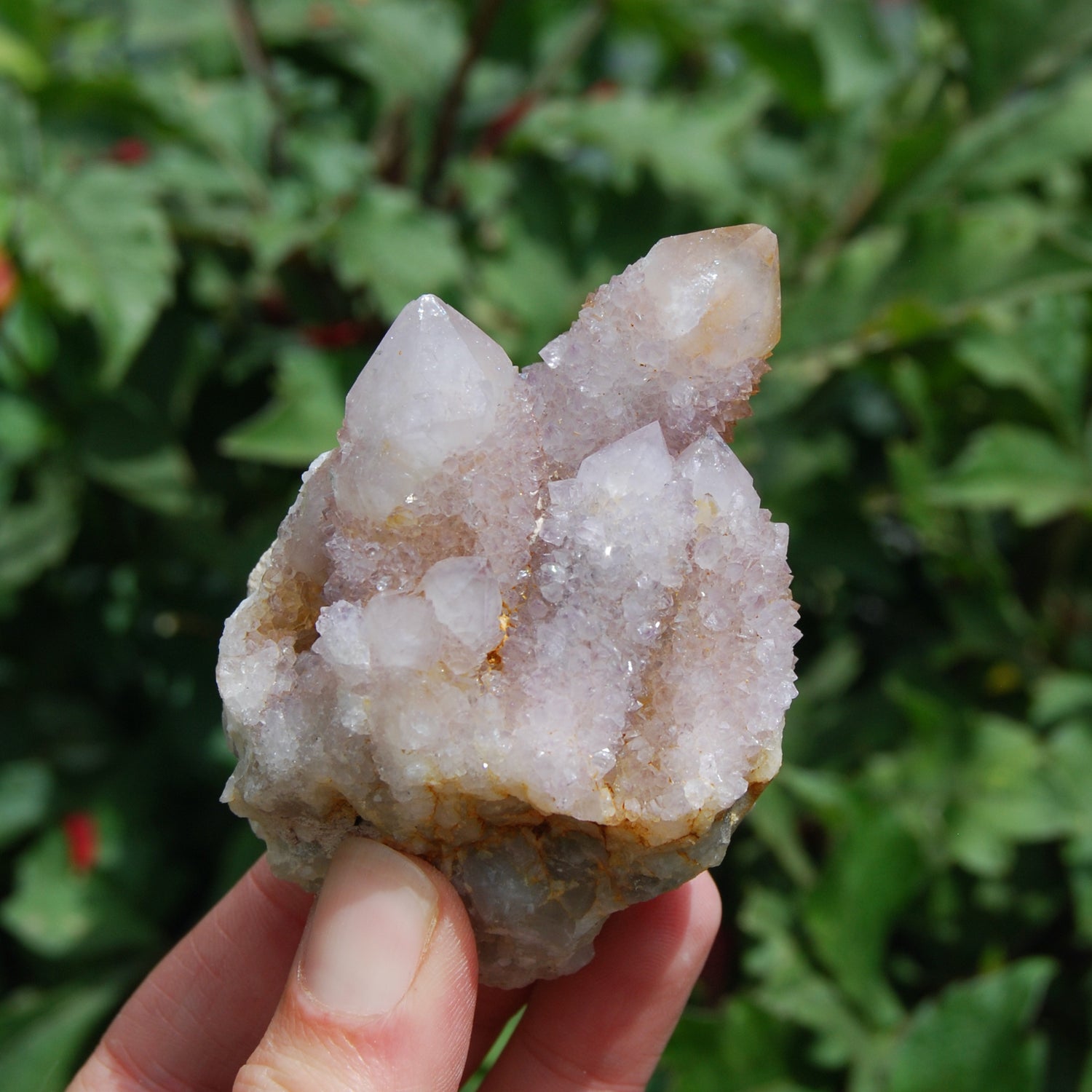 Amethyst Spirit Quartz Crystal Cluster, Spirit Quartz