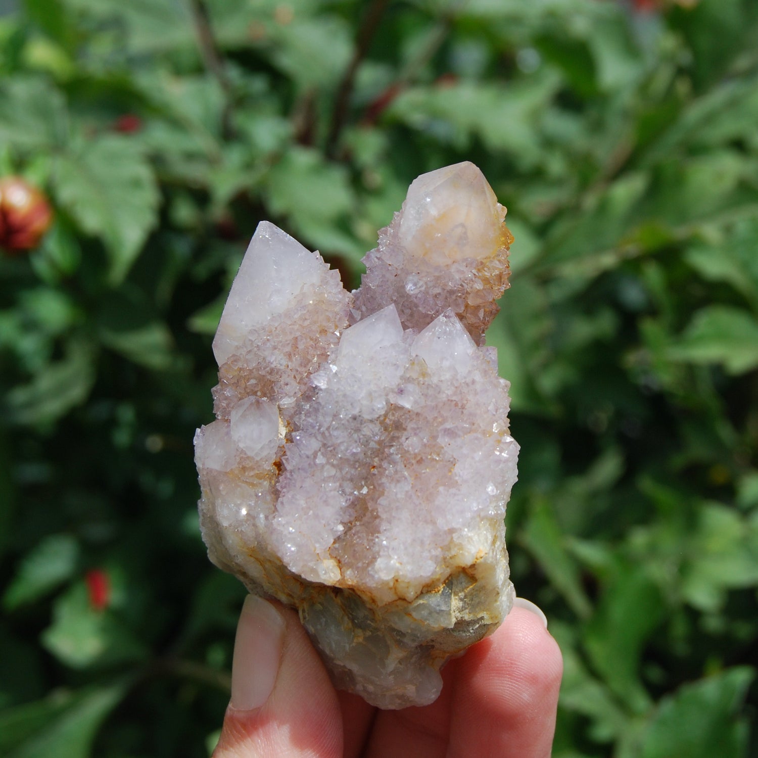 Amethyst Spirit Quartz Crystal Cluster, Spirit Quartz