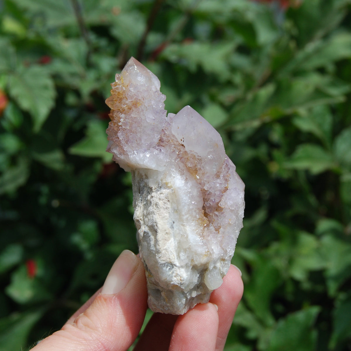 Amethyst Spirit Quartz Crystal Cluster, Spirit Quartz