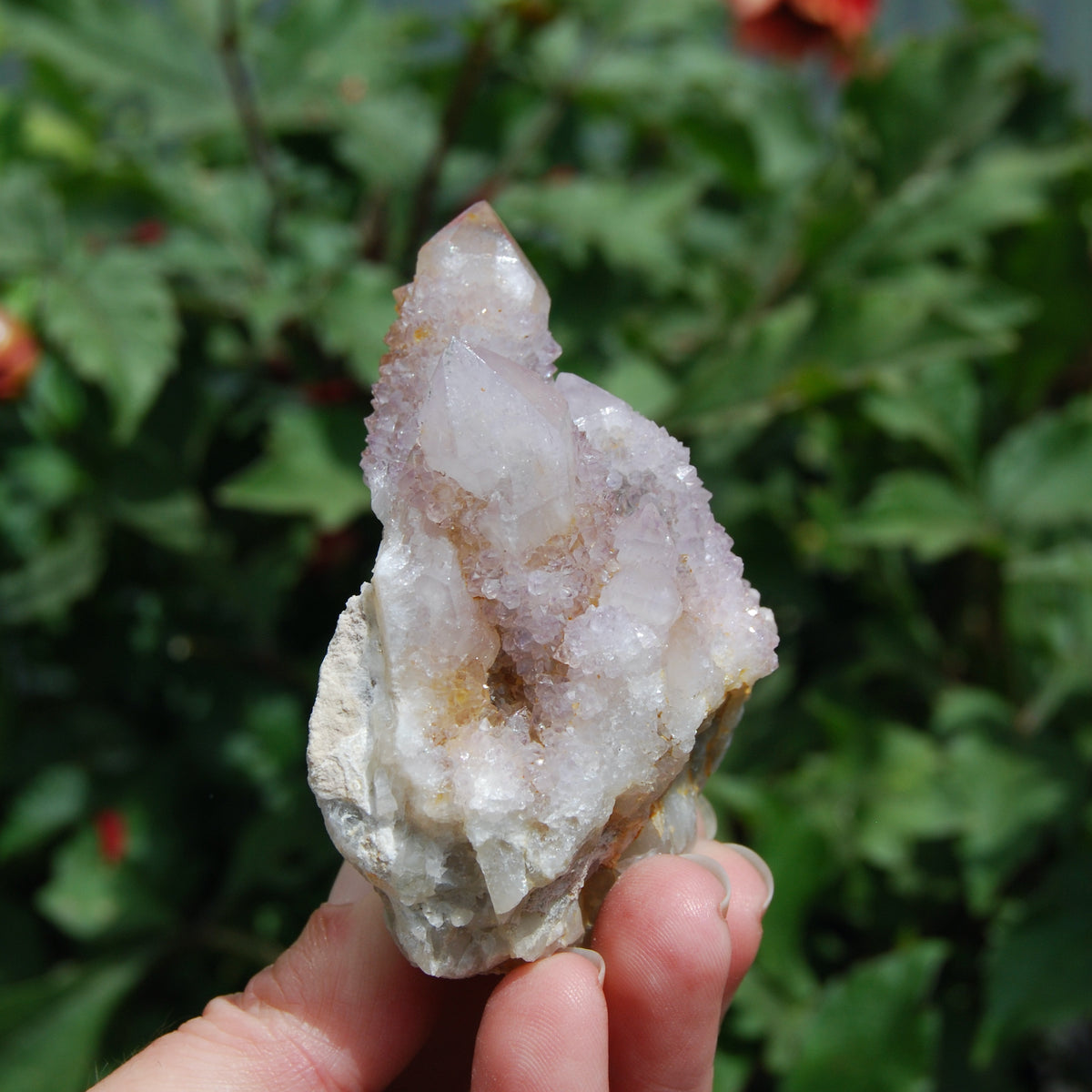 Amethyst Spirit Quartz Crystal Cluster, Spirit Quartz