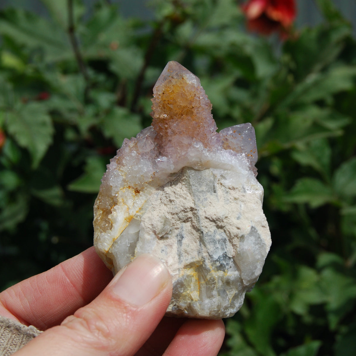 Amethyst Spirit Quartz Crystal Cluster, Spirit Quartz