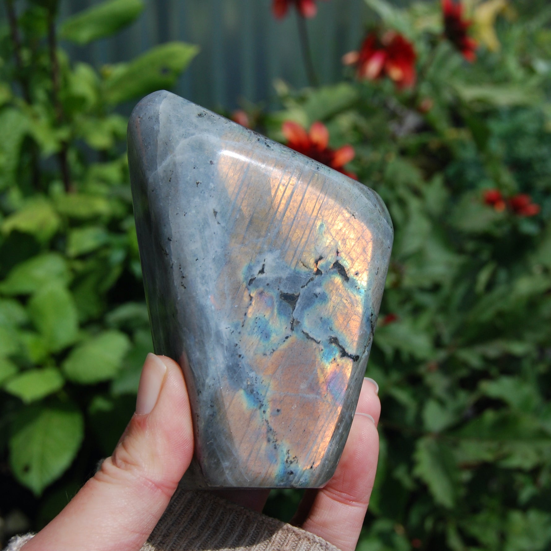 Sunset Purple Labradorite Crystal Free Form Tower
