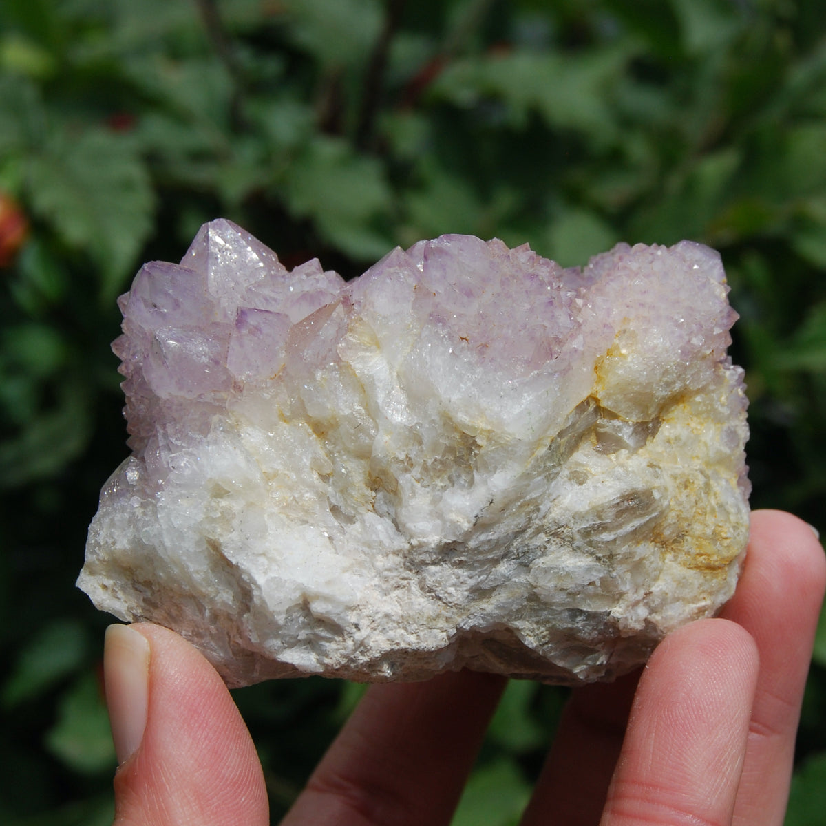 Spirit Quartz, Amethyst Spirit Quartz Crystal Cluster