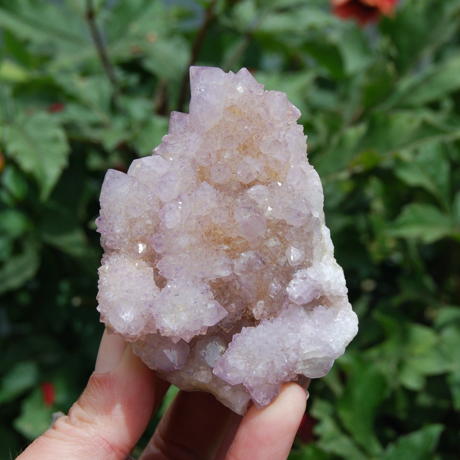 Spirit Quartz, Amethyst Spirit Quartz Crystal Cluster