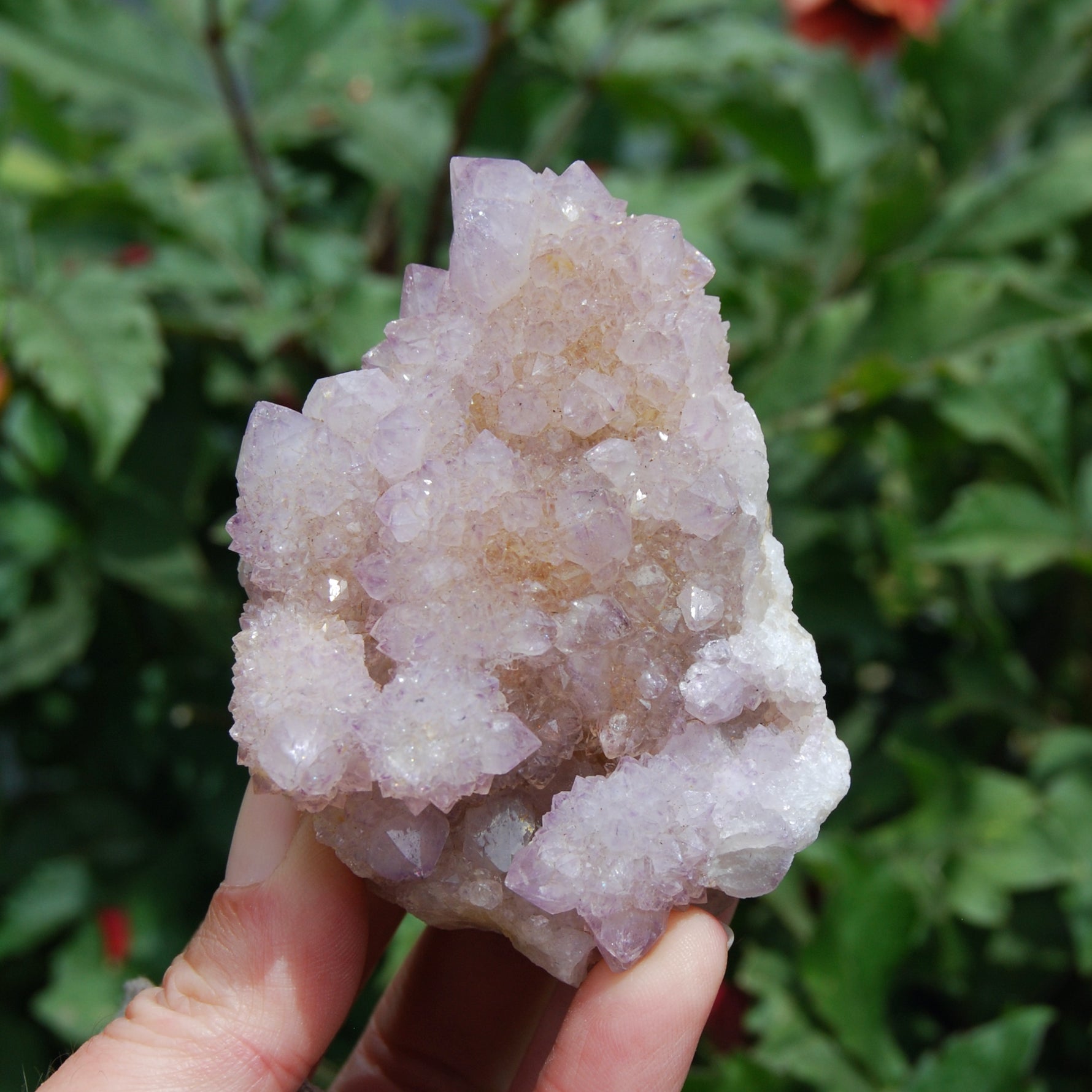 Spirit Quartz, Amethyst Spirit Quartz Crystal Cluster