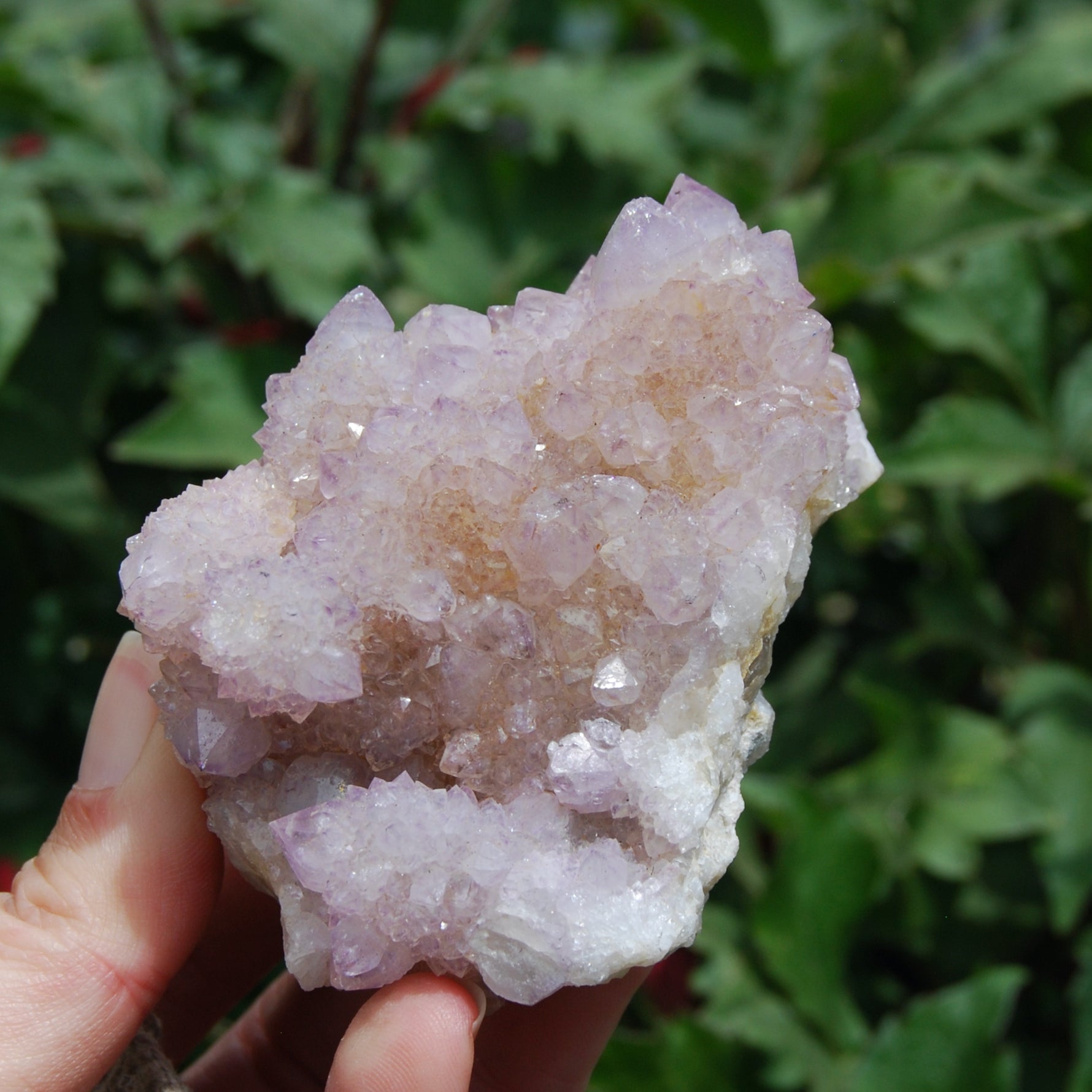 Spirit Quartz, Amethyst Spirit Quartz Crystal Cluster