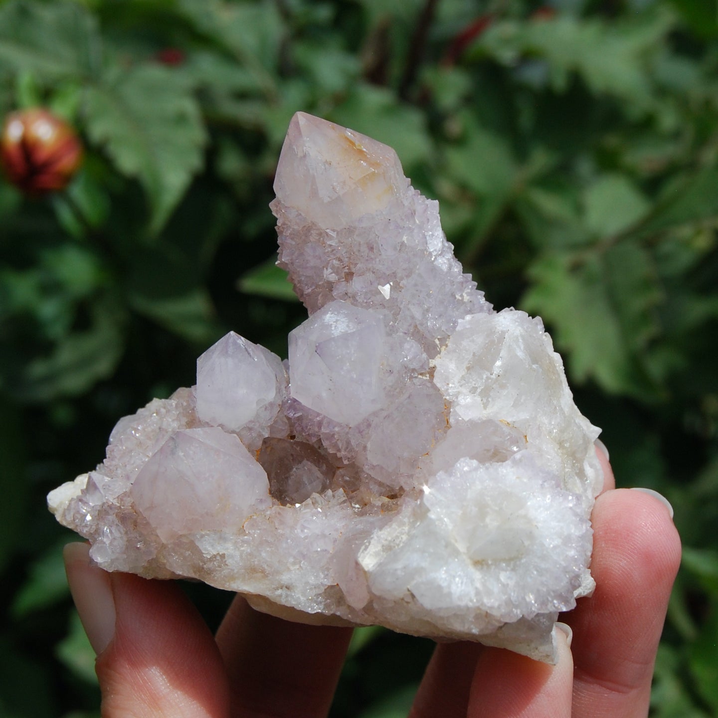 Spirit Quartz, Amethyst Spirit Quartz Crystal Cluster