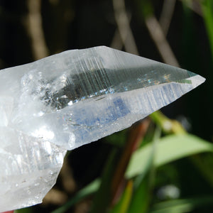 Colombian Lemurian Seed Crystal