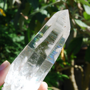 Colombian Lemurian Seed Crystal