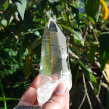 Load image into Gallery viewer, Colombian Lemurian Seed Crystal
