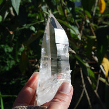 Load image into Gallery viewer, Colombian Lemurian Seed Crystal
