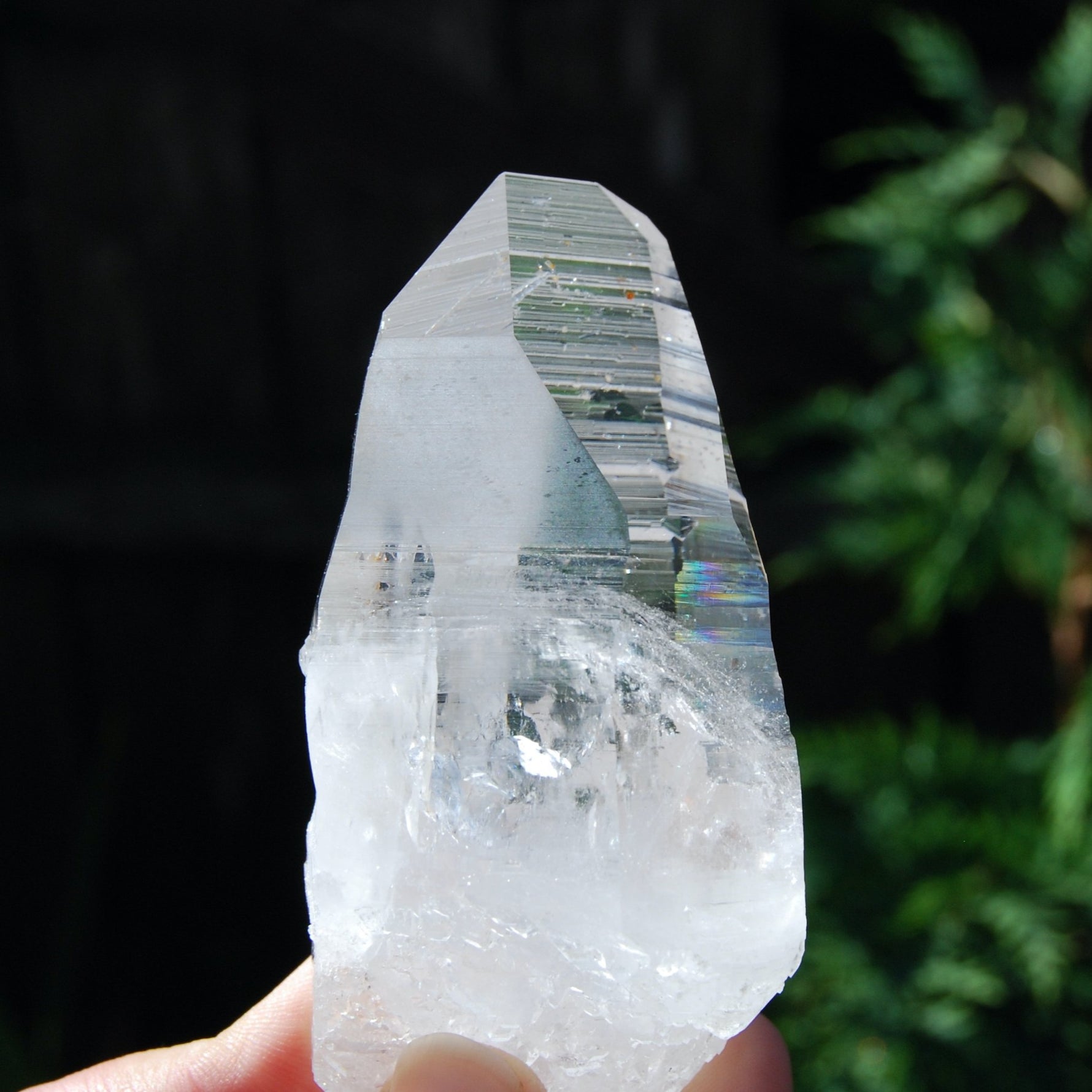 Colombian Lemurian Seed Crystal Laser, Self Healed Optical Quartz, Limonite, Tapias, Boyaca, Colombia