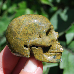 Botryoidal Ocean Jasper Carved Crystal Skull