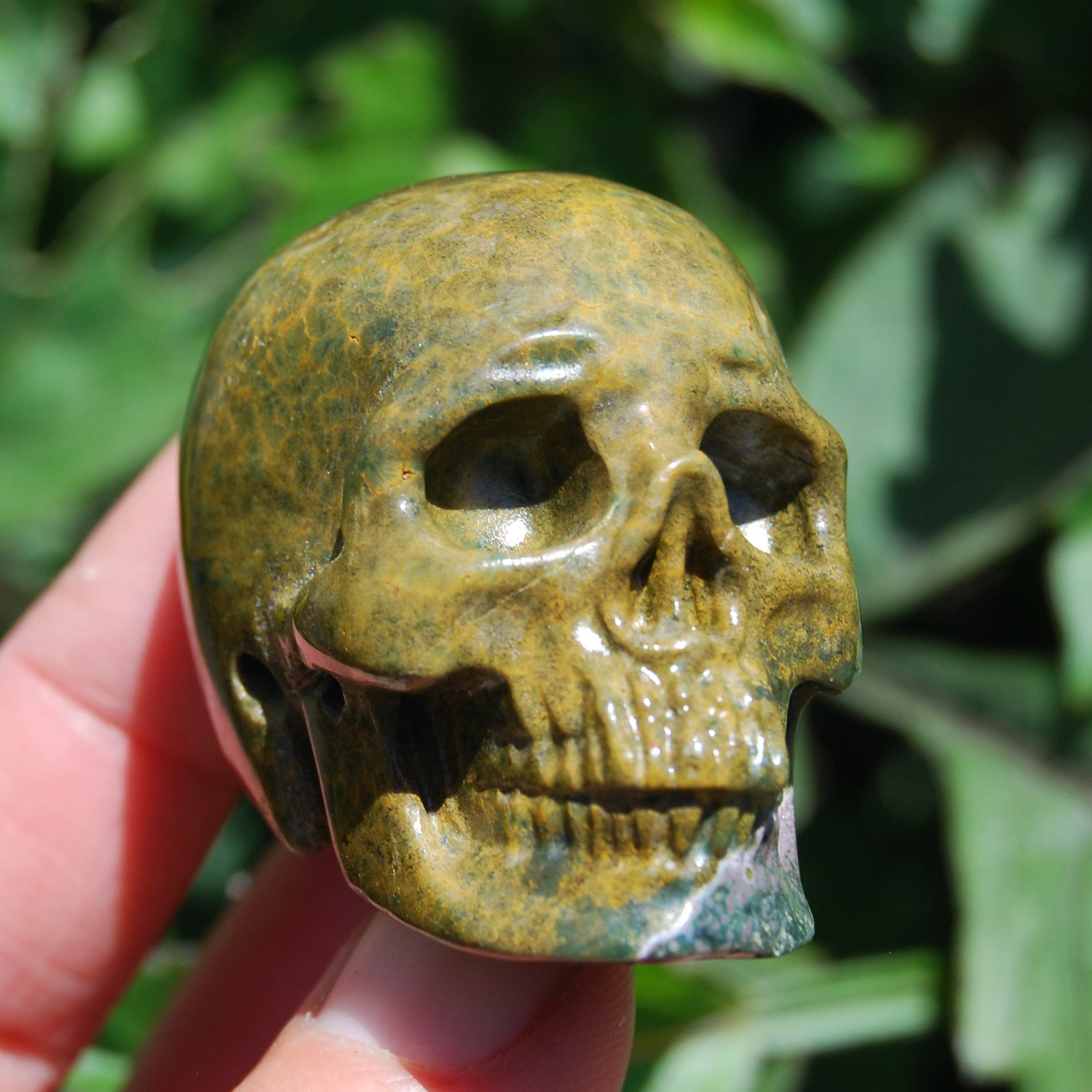 Botryoidal Ocean Jasper Carved Crystal Skull