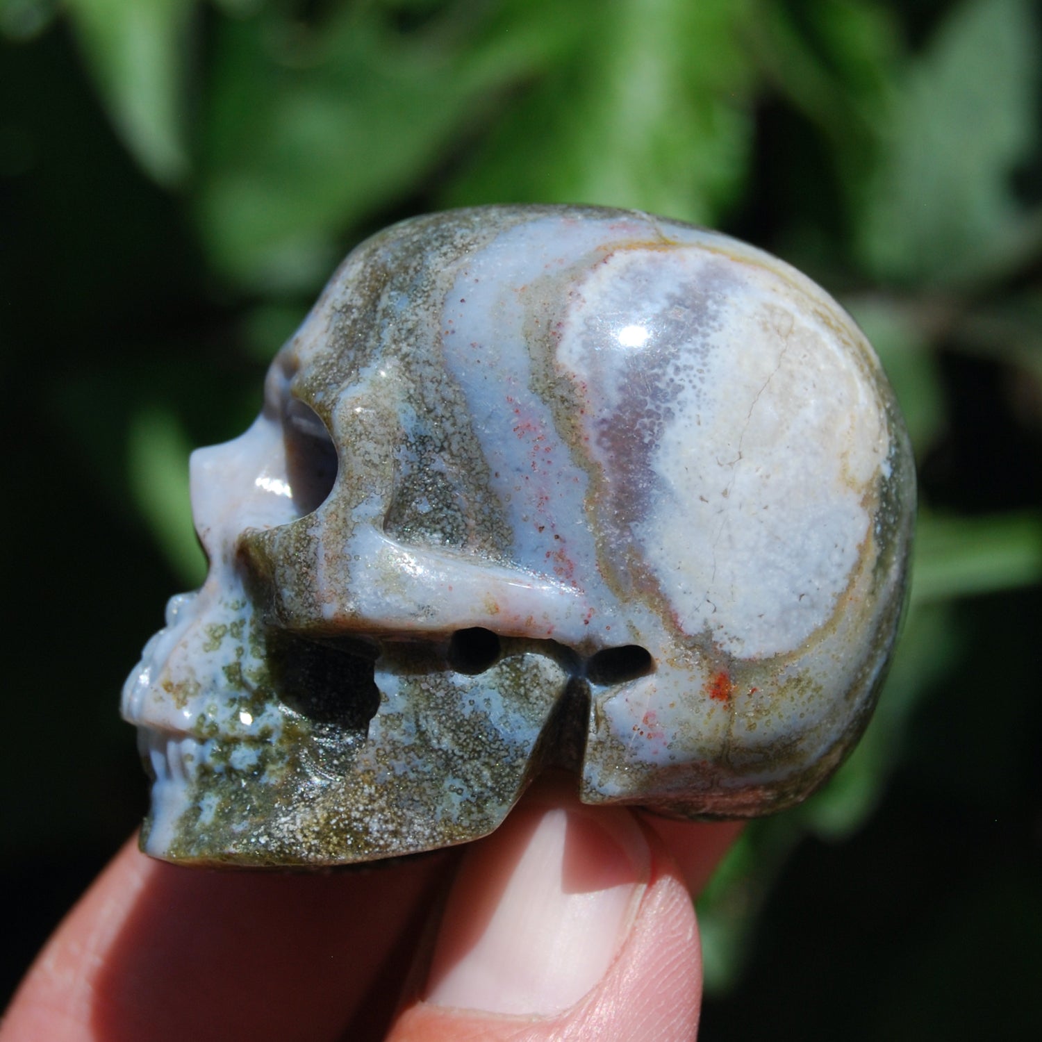 Ocean Jasper Carved Crystal Skull