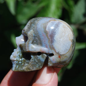 Ocean Jasper Carved Crystal Skull