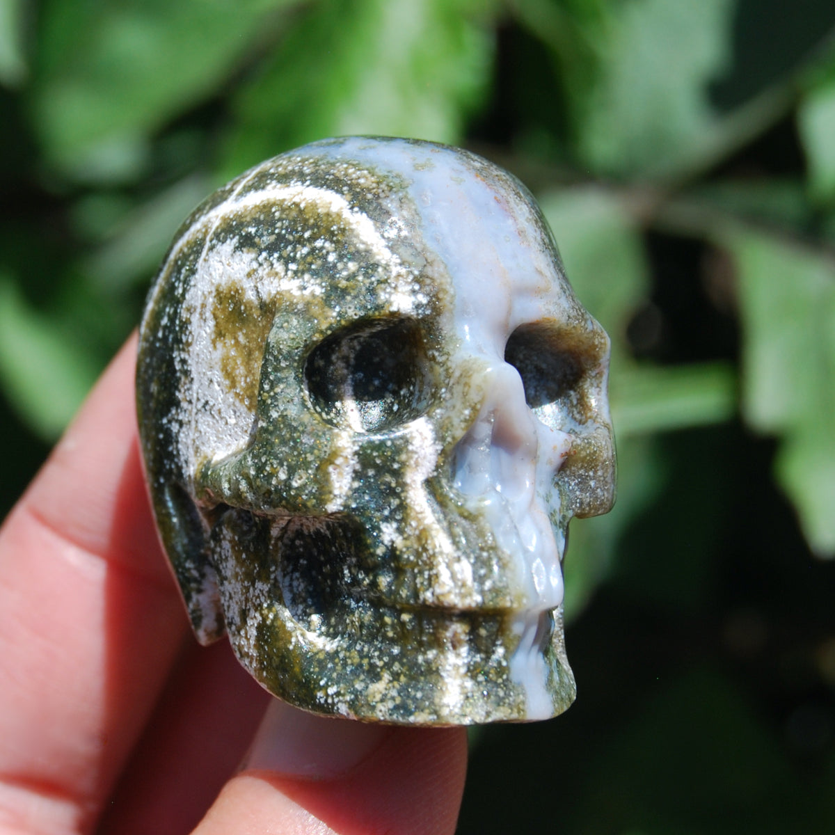 Ocean Jasper Carved Crystal Skull
