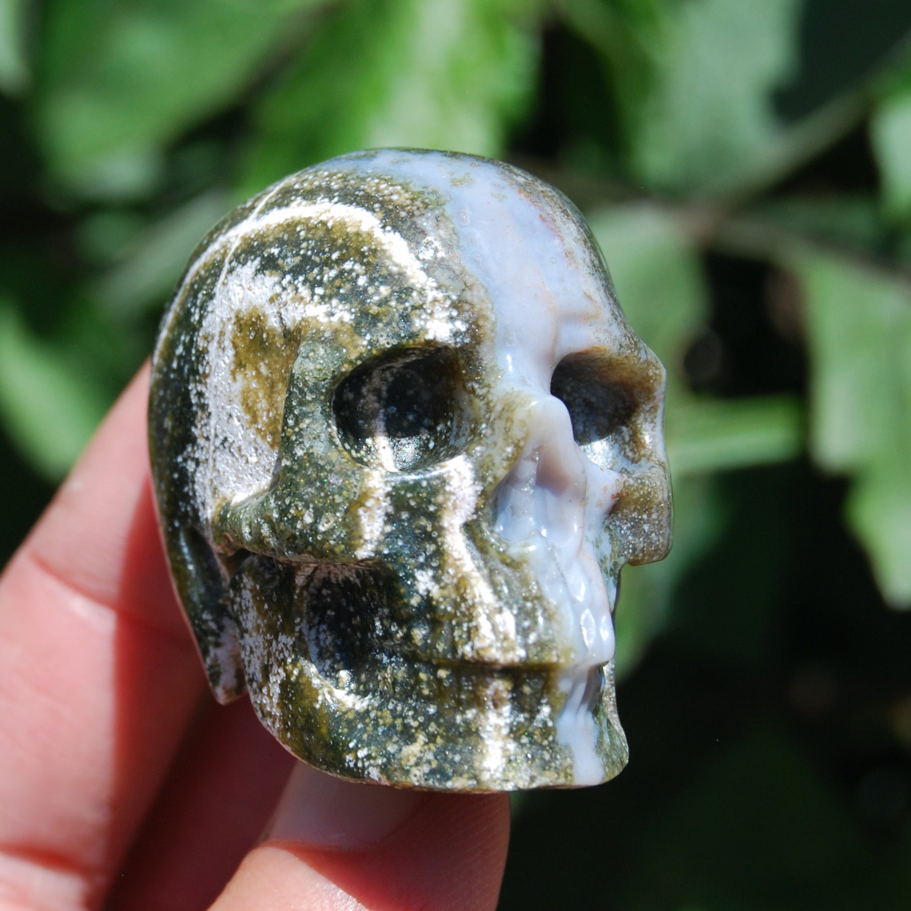 Ocean Jasper Carved Crystal Skull