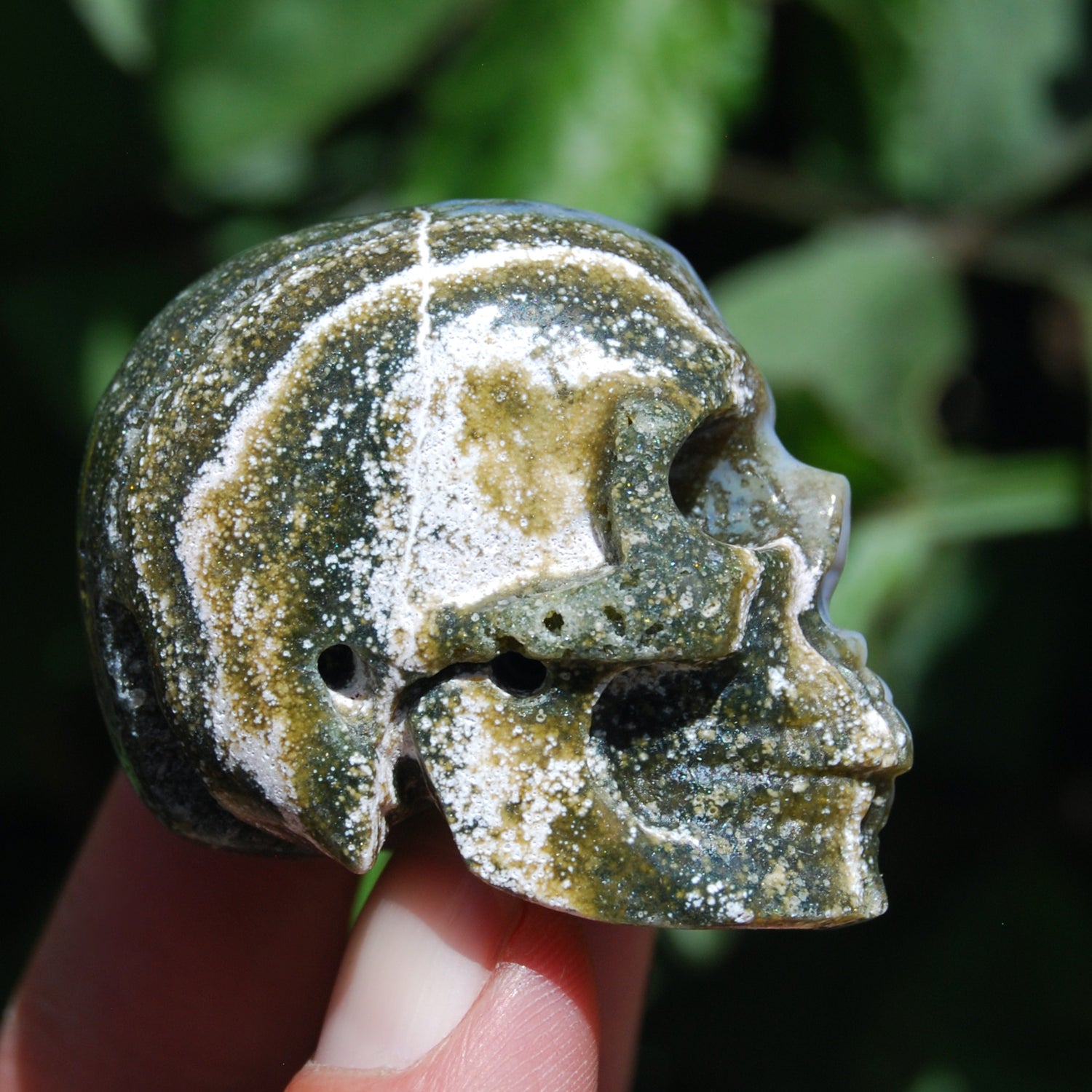 Ocean Jasper Carved Crystal Skull