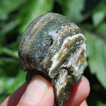 Ocean Jasper Carved Crystal Skull