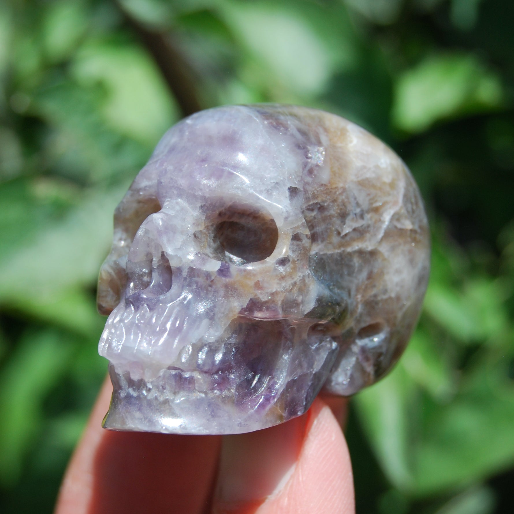 Chevron Dream Amethyst Skull Realistic