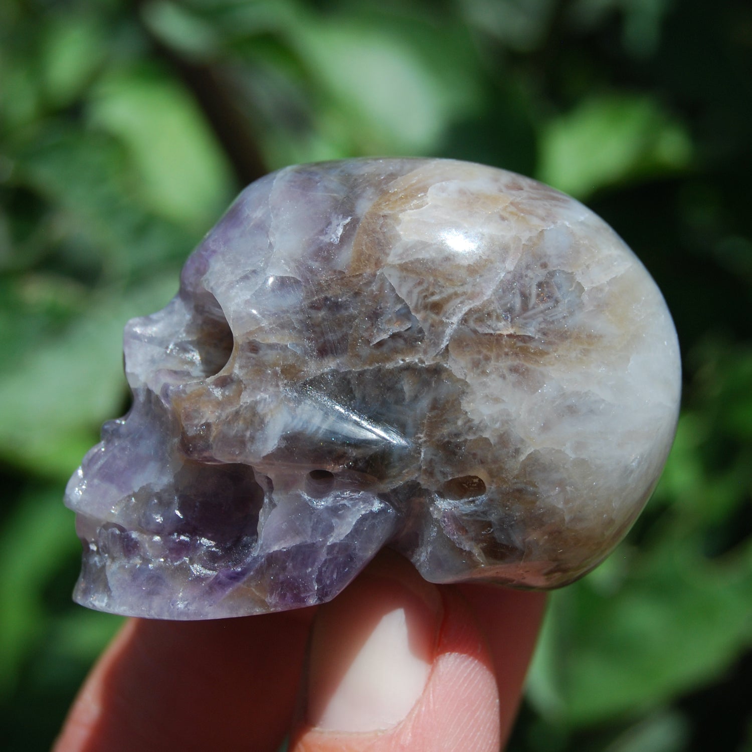 Chevron Dream Amethyst Skull Realistic