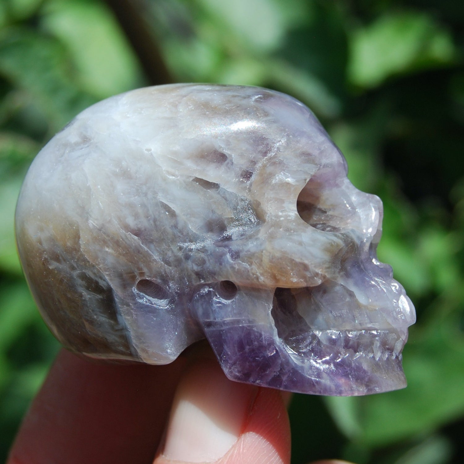 Chevron Dream Amethyst Skull Realistic