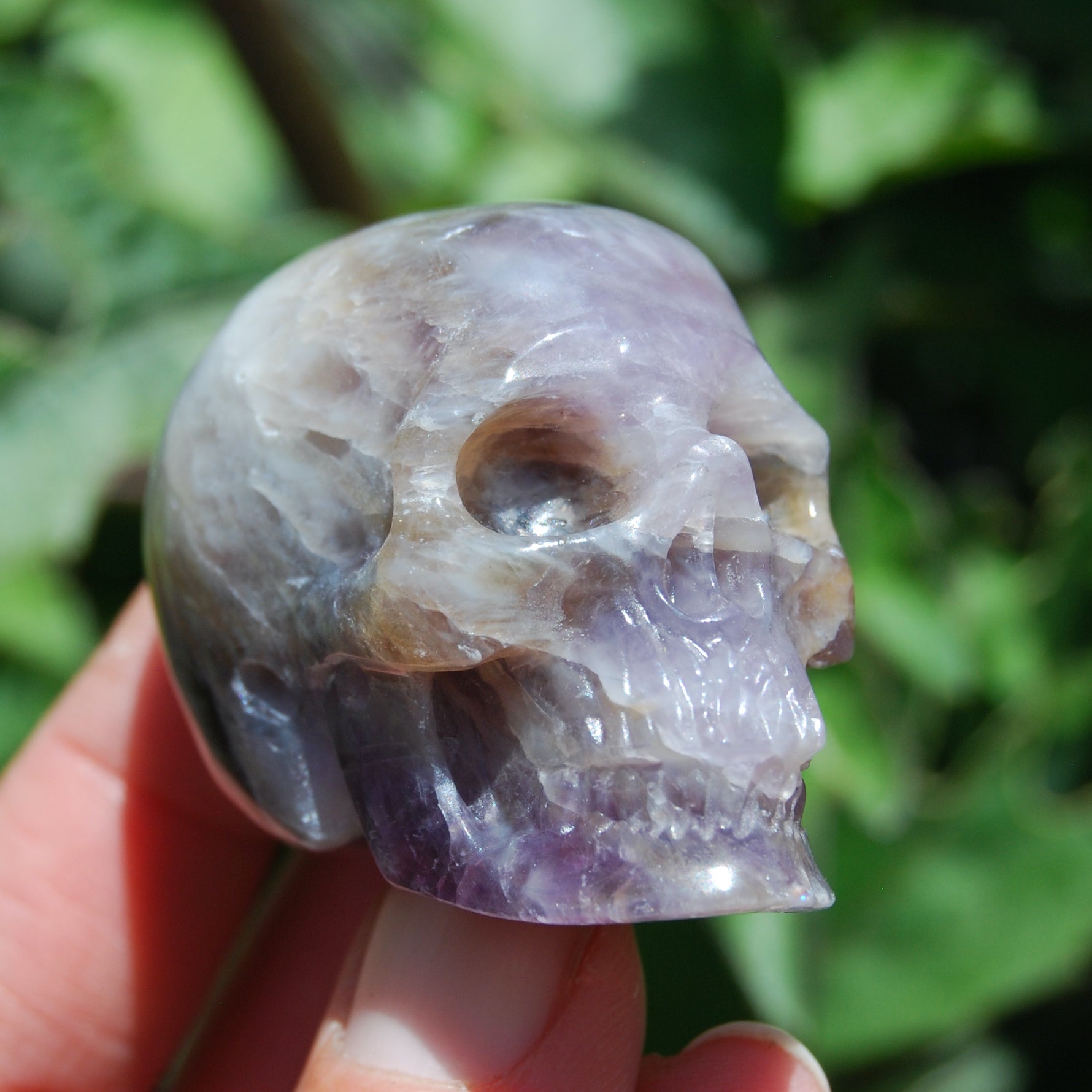 Chevron Dream Amethyst Skull Realistic