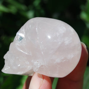Rose Quartz Carved Crystal Skull
