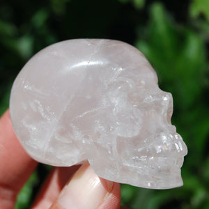 Rose Quartz Carved Crystal Skull