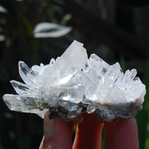 Optical Chlorite Quartz Crystal Cluster, Twin Flame Double Starburst Formation, Corinto, Brazil