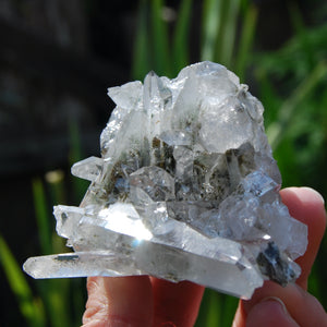Isis Face Chlorite Optical Quartz Crystal Cluster, Corinto, BrazilIsis Face Chlorite Optical Quartz Crystal Cluster, Corinto, Brazil