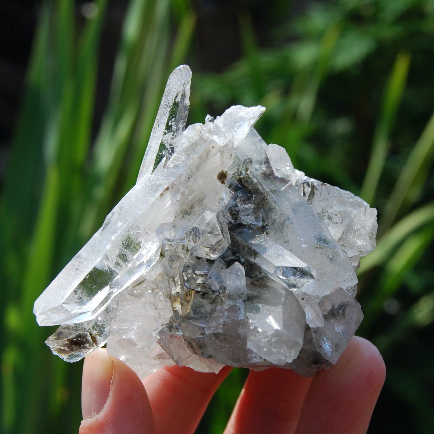 Isis Face Chlorite Optical Quartz Crystal Cluster, Corinto, Brazil