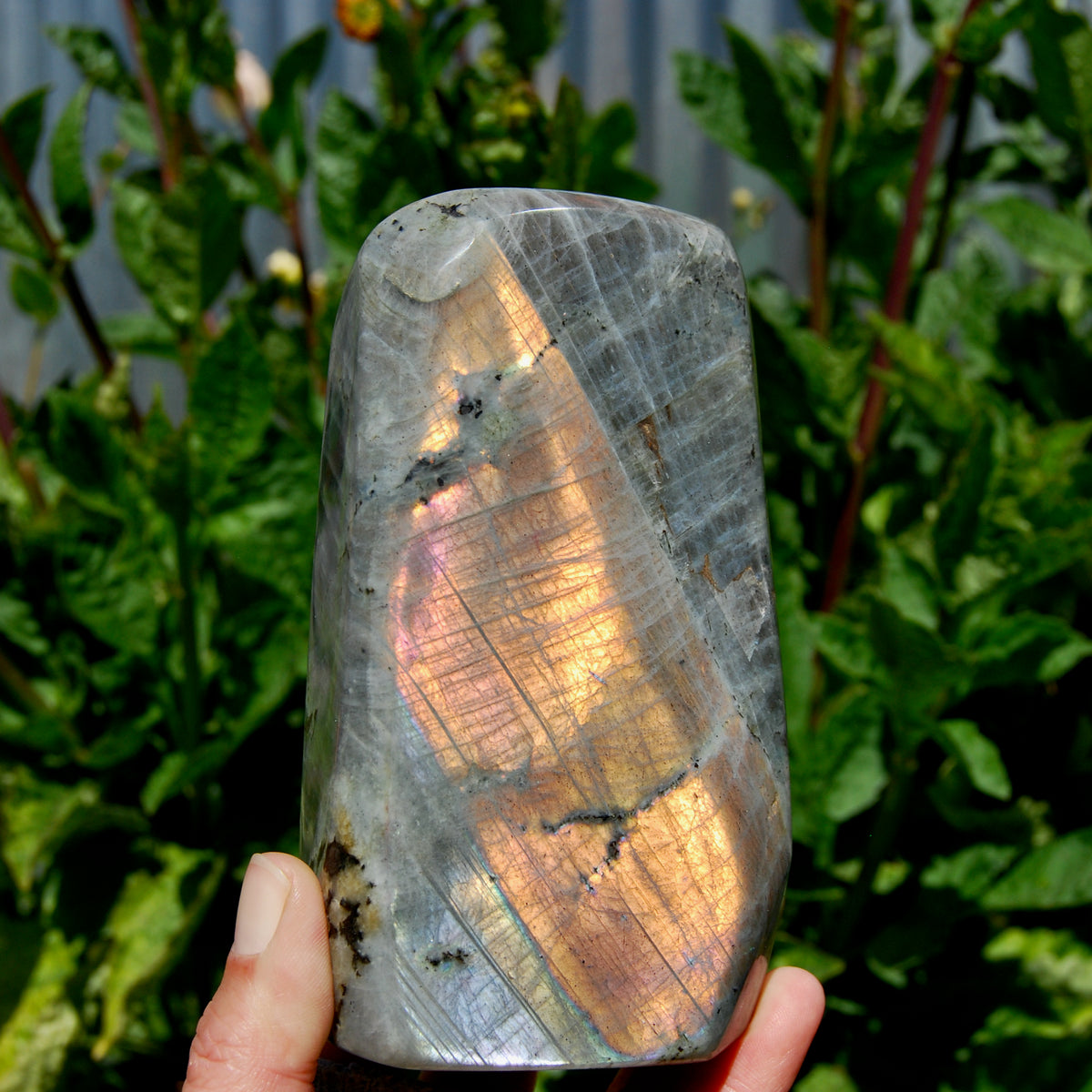 Labradorite Crystal Freeform Tower, Large Purple Spectrolite