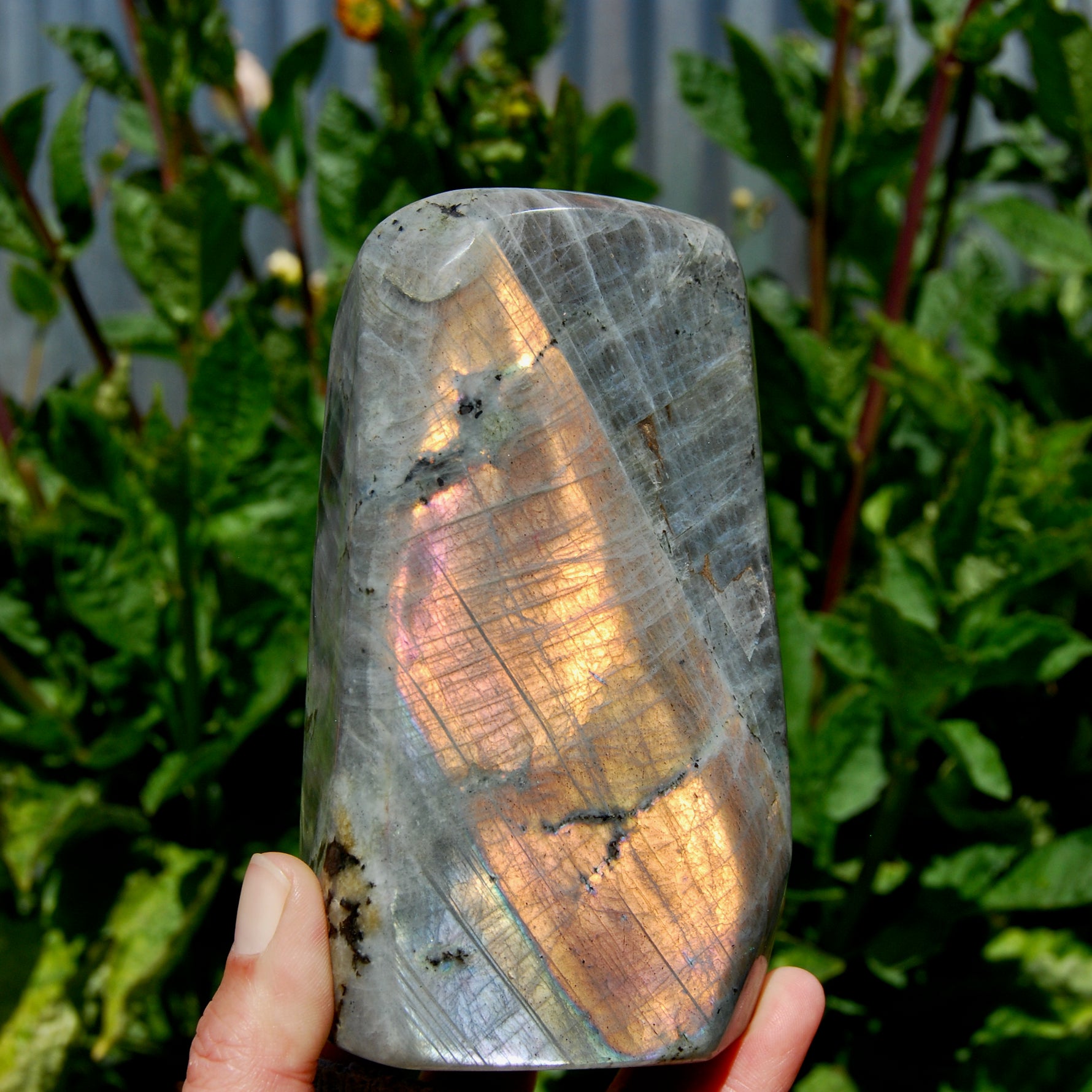 Labradorite Crystal Freeform Tower, Large Purple Spectrolite