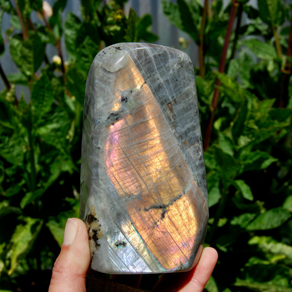 Labradorite Crystal Freeform Tower, Large Purple Spectrolite