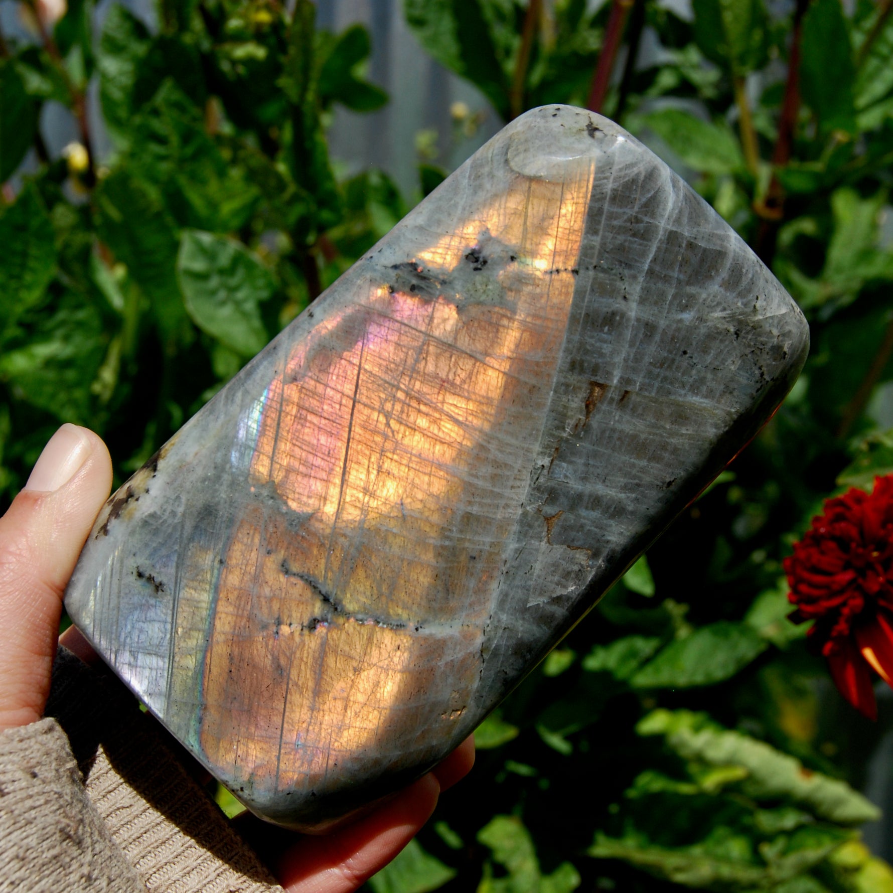 Labradorite Crystal Freeform Tower, Large Purple Spectrolite