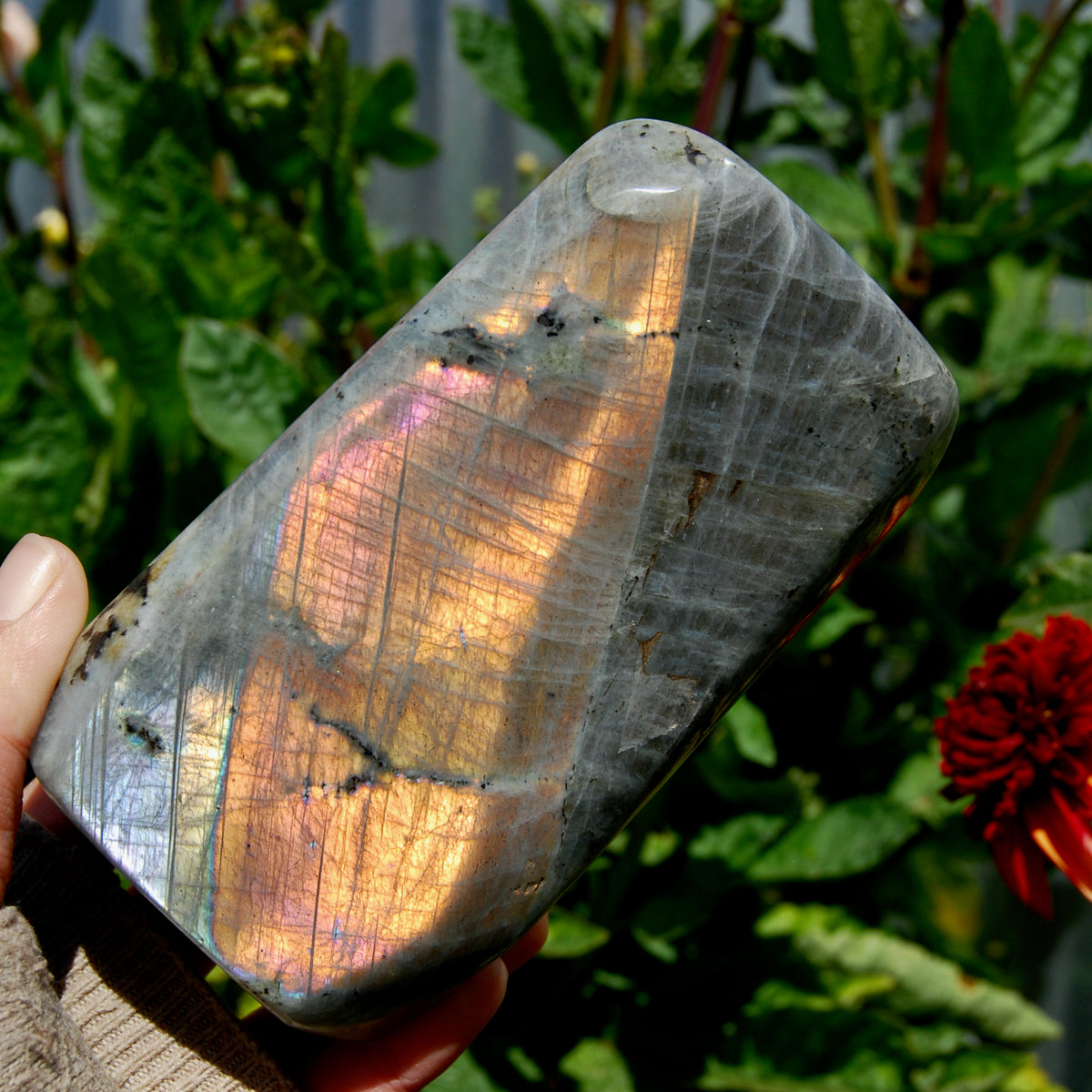 Labradorite Crystal Freeform Tower, Large Purple Spectrolite