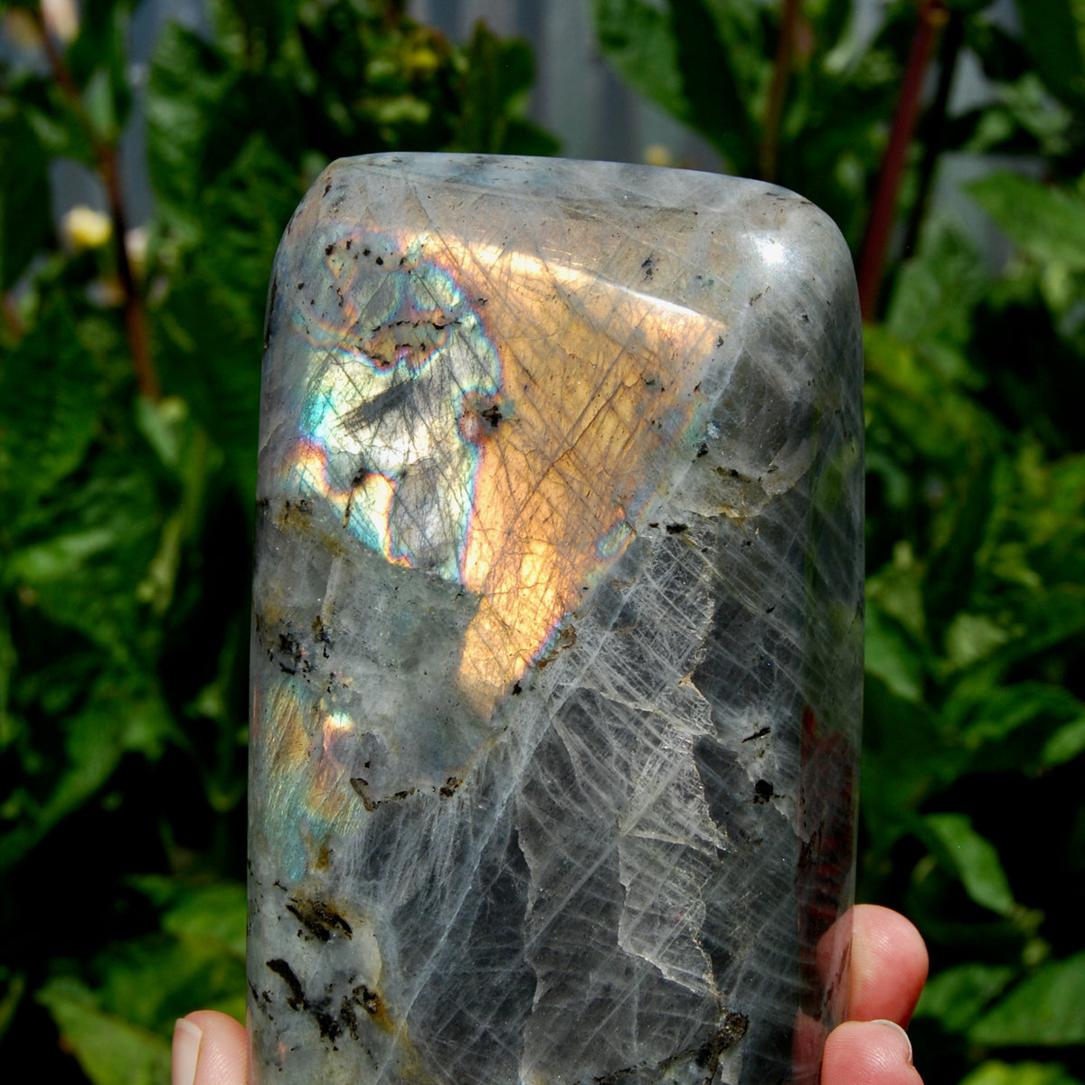 Labradorite Crystal Freeform Tower, Large Purple Spectrolite
