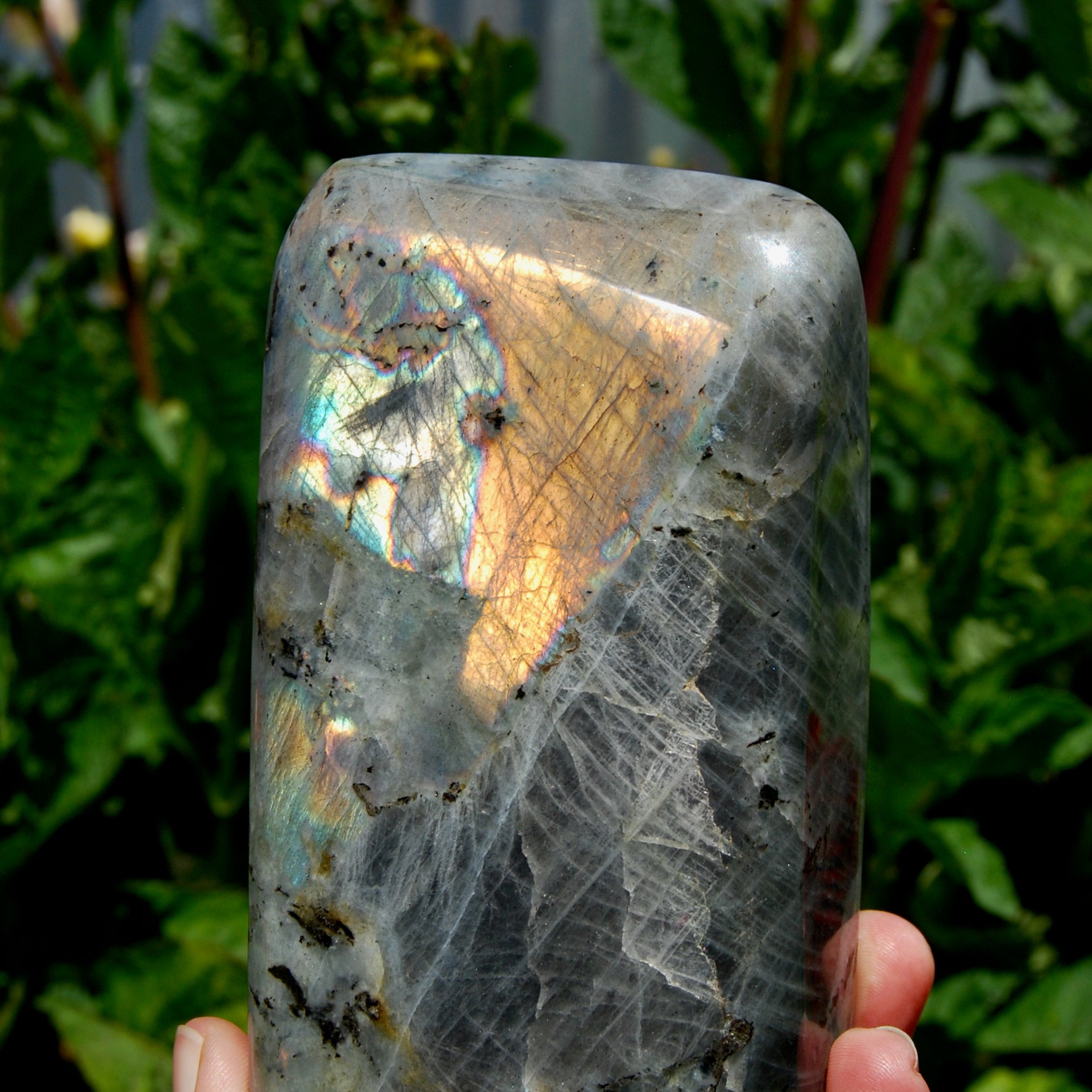 Labradorite Crystal Freeform Tower, Large Purple Spectrolite