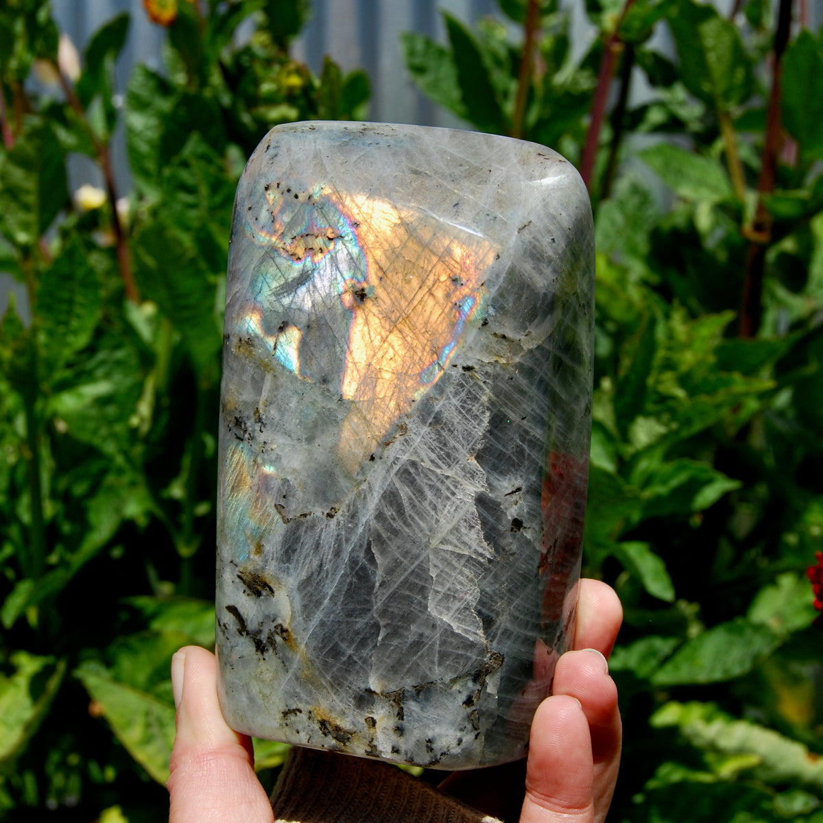 Labradorite Crystal Freeform Tower, Large Purple Spectrolite