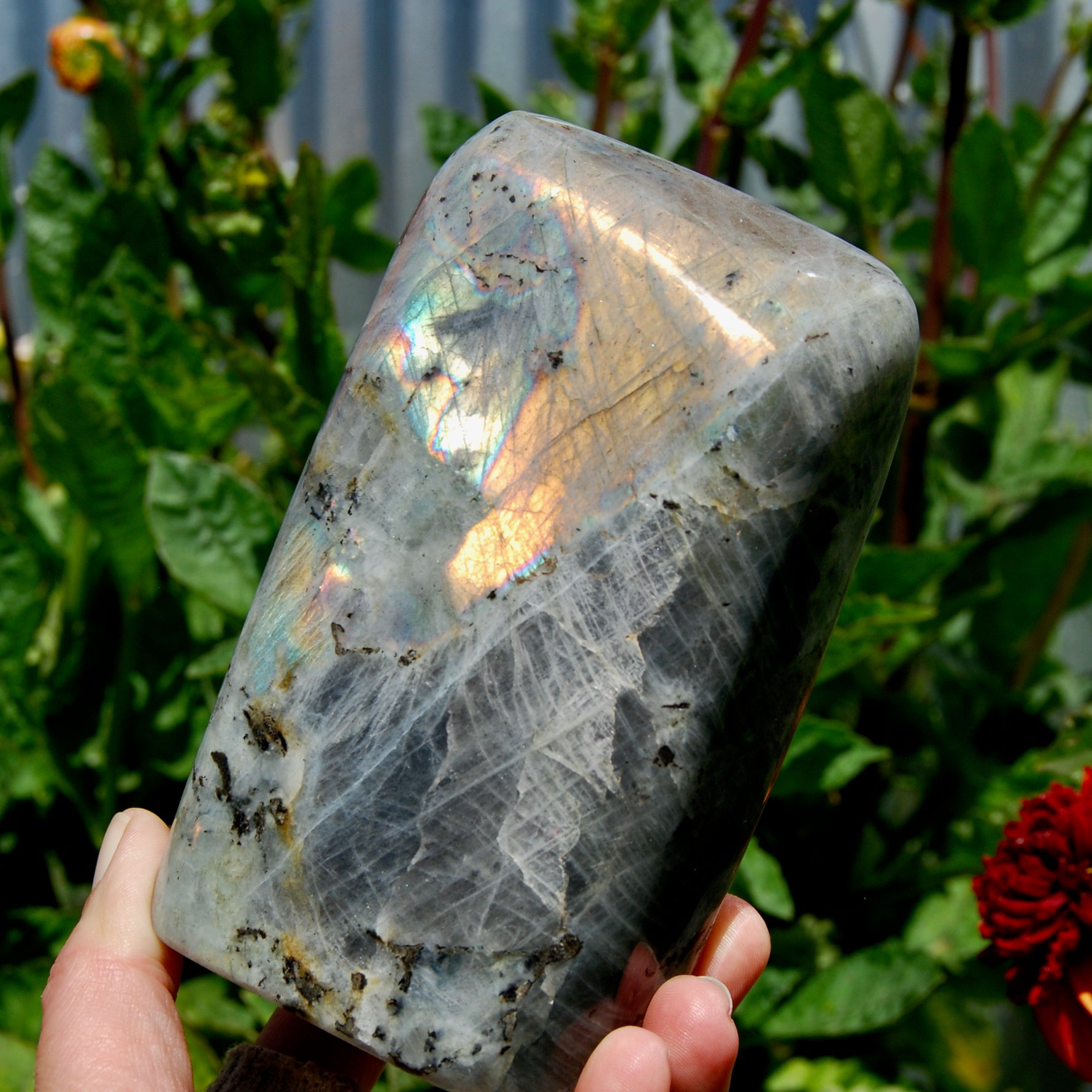 Labradorite Crystal Freeform Tower, Large Purple Spectrolite