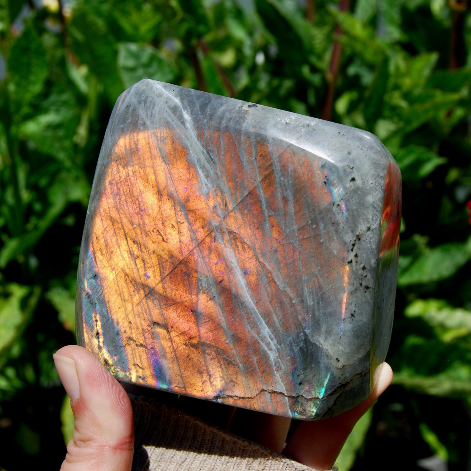 Labradorite Crystal Freeform Tower, Large Purple Spectrolite