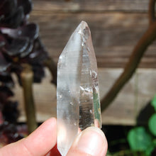Load image into Gallery viewer, Colombian Lemurian Seed Crystal
