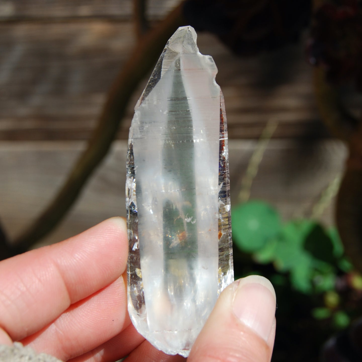 Colombian Lemurian Seed Crystal
