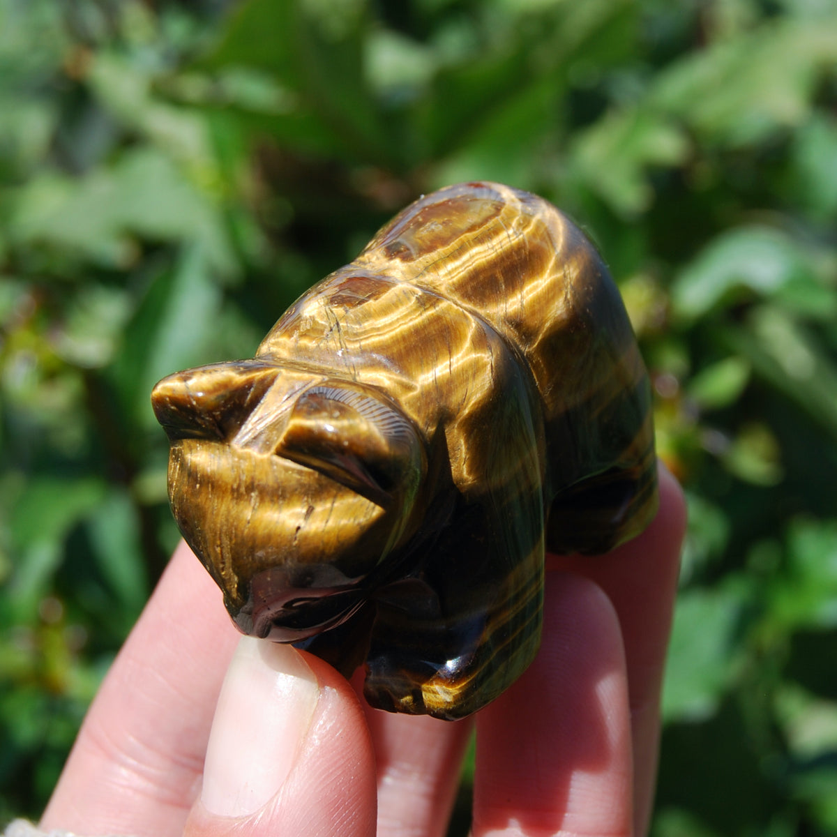 2in Tiger's Eye Carved Crystal Bear