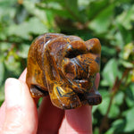 2in Tiger's Eye Carved Crystal Bear