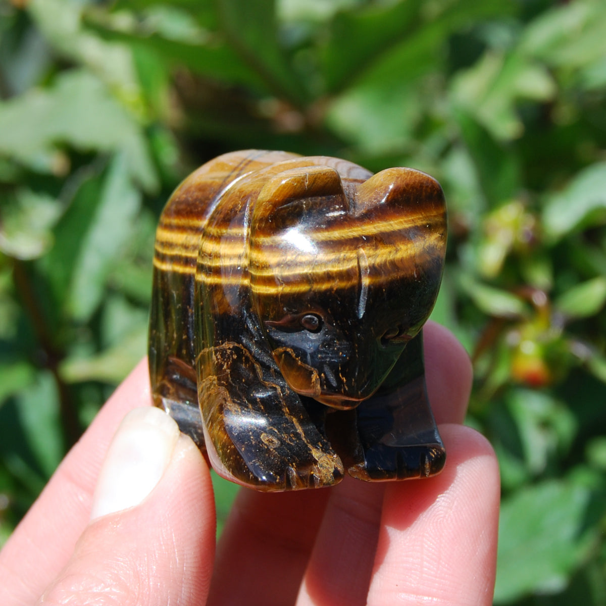 2in Tiger's Eye Carved Crystal Bear