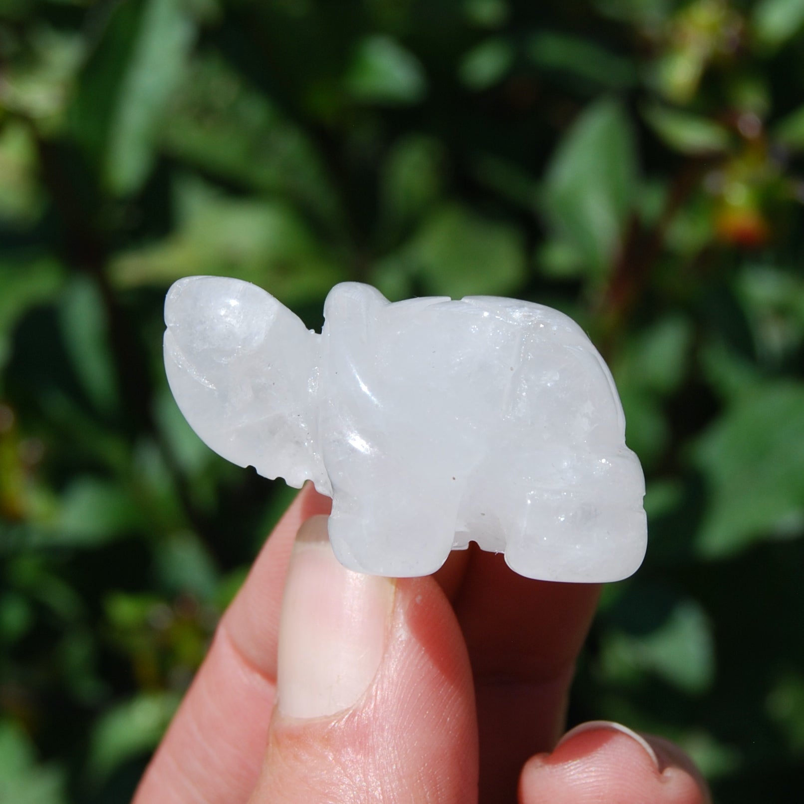 Clear Quartz Carved Crystal Turtle