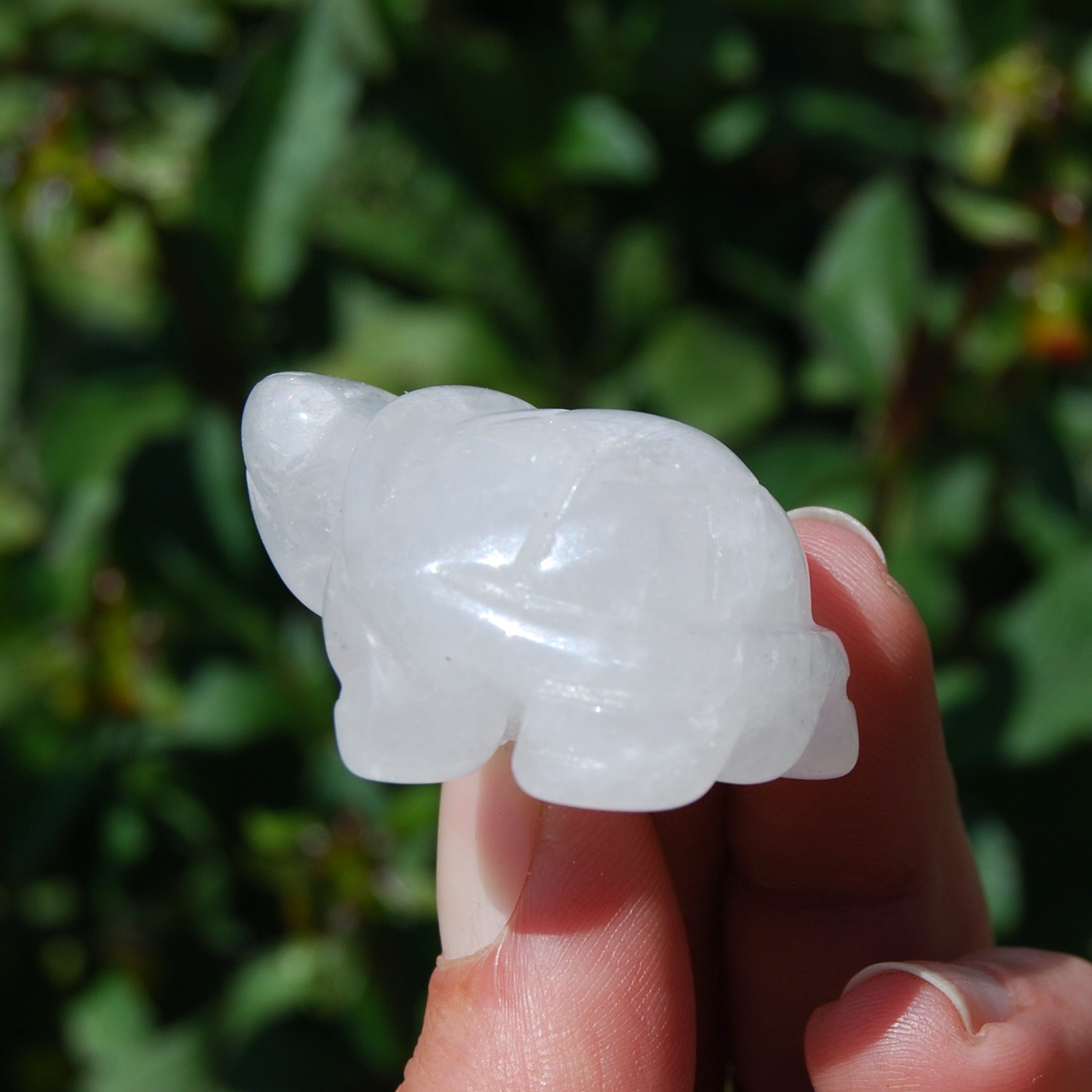 Clear Quartz Carved Crystal Turtle